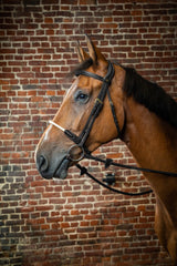Dy'on D Collection Rope Noseband Bridle
