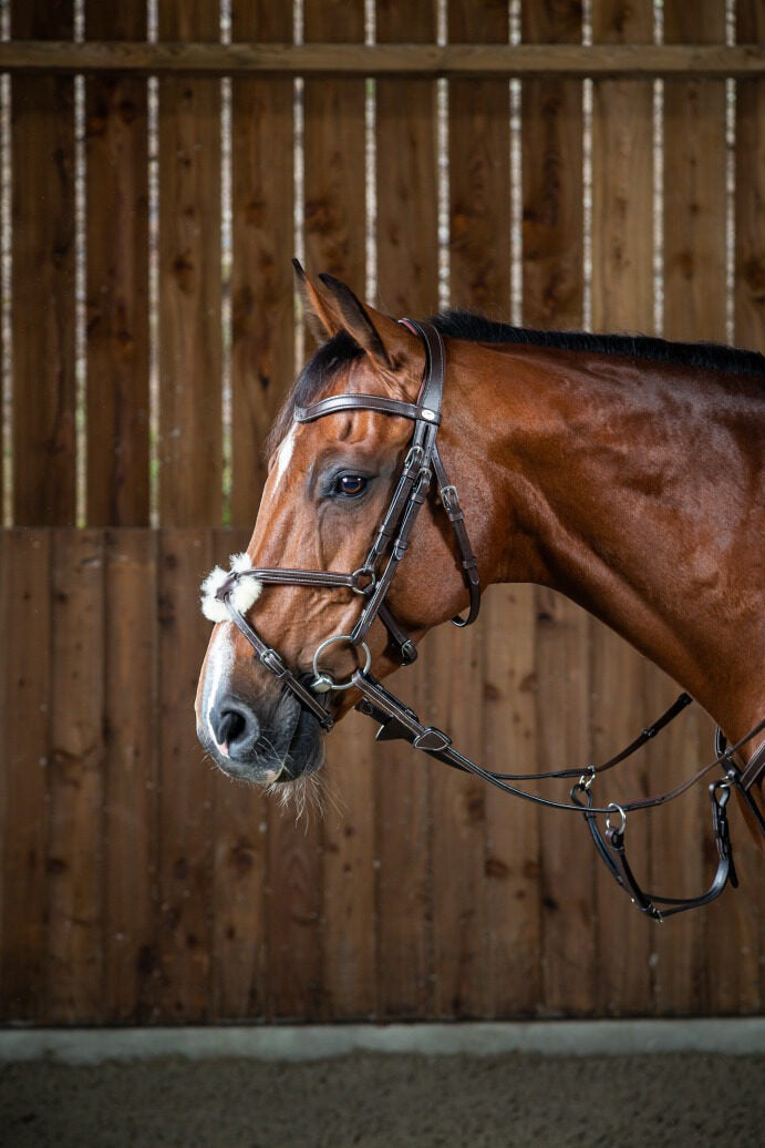 Dy'on Working Collection Fig 8 Noseband Bridle