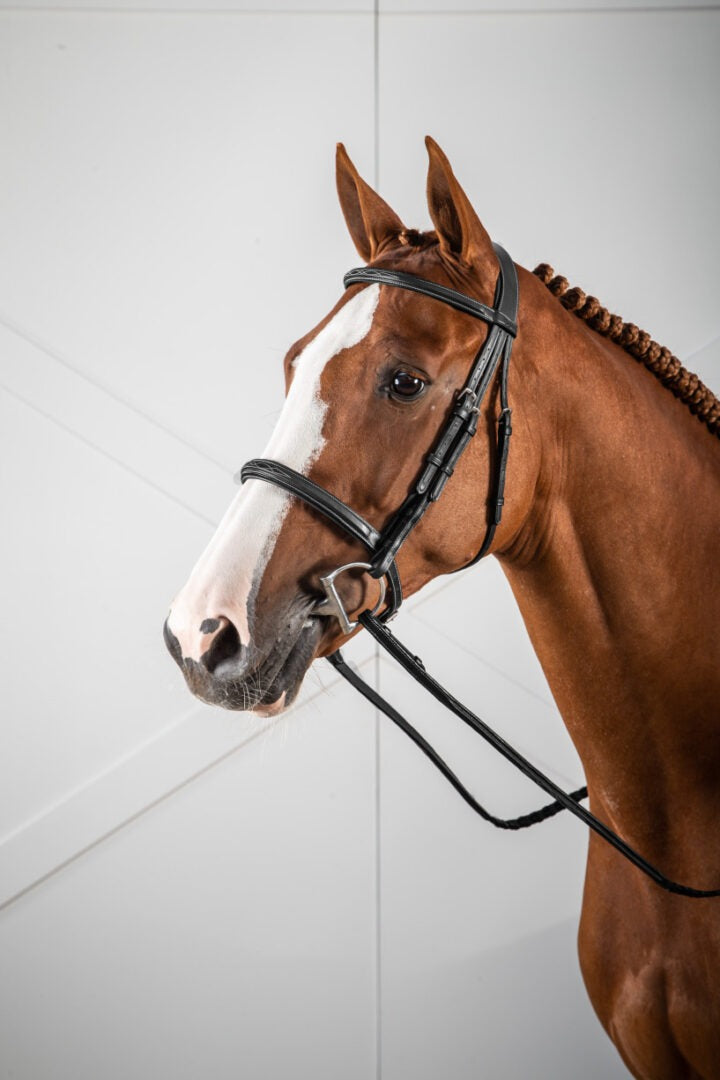 Dy'on US Hunter Collection Cavesson Noseband Bridle