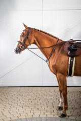 Dy'on US Hunter Collection Cavesson Noseband Bridle