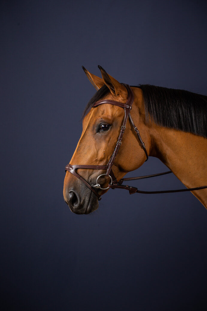 Dy'on New English Collection X-Fit Bridle