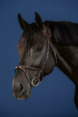 Dy'on US Jumping Collection X-Fit Bridle