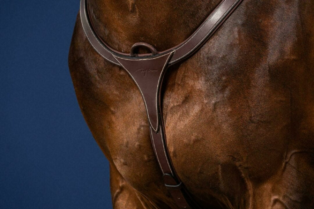 Dy'on US Jumping Collection Long Bridge Breastplate
