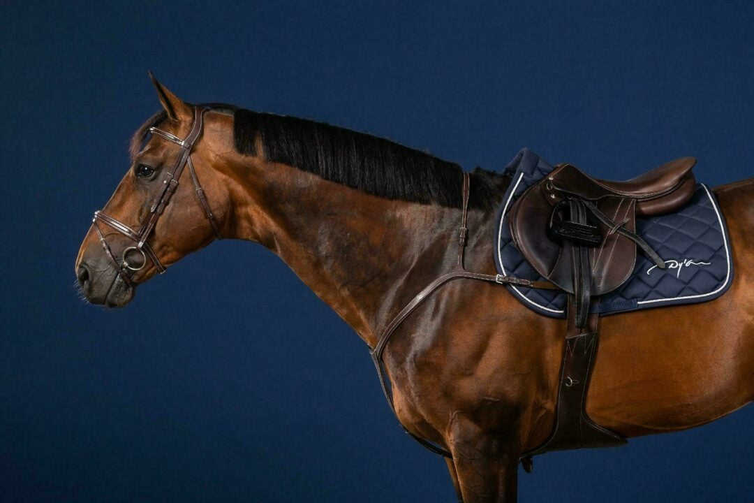 Dy'on US Jumping Collection Long Bridge Breastplate