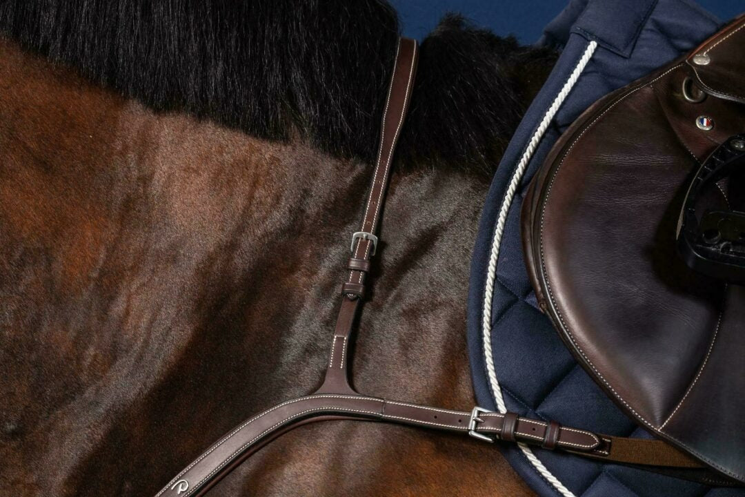 Dy'on US Jumping Collection Long Bridge Breastplate