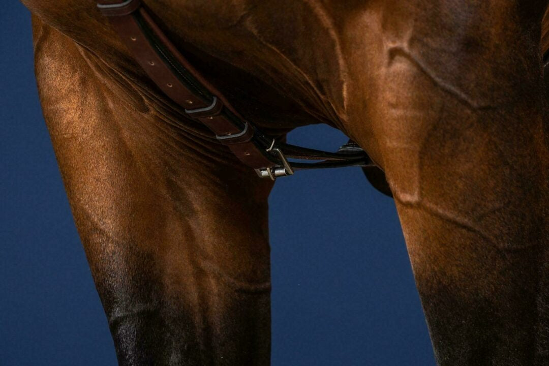 Dy'on US Jumping Collection Long Bridge Breastplate