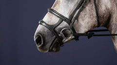 Dy'on New English Collection Double Noseband