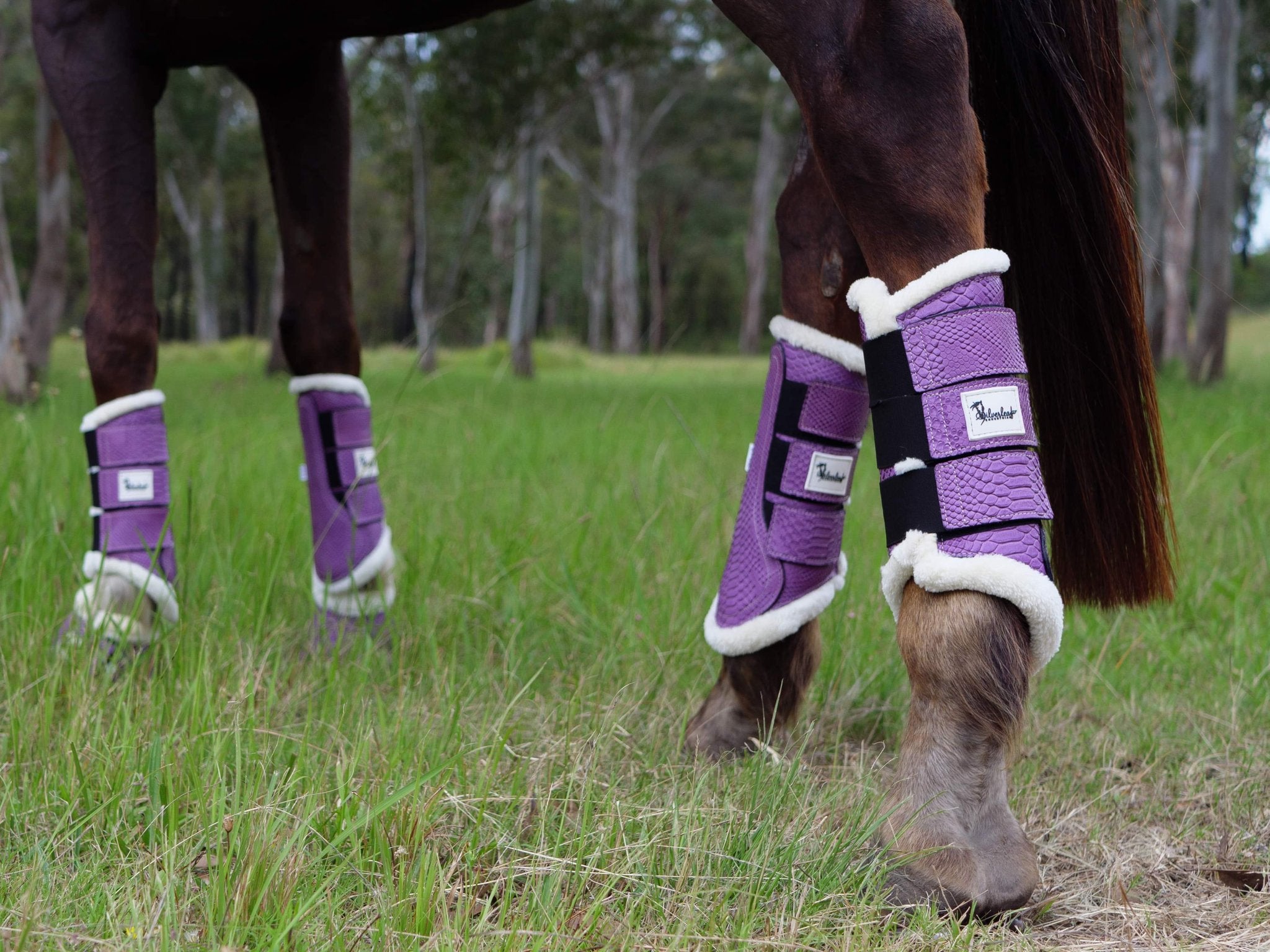 Twilight Tendon Support Boots For Horses