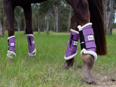 Twilight Tendon Support Boots For Horses