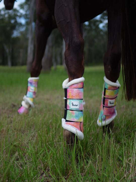 Sunset Horse Tendon Boots Australia