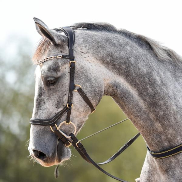 Lumiere 'Amber' Anatomic Bridle-Micklem Style