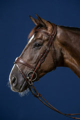 Dy'on US Jumping Collection gag cheekpieces – brown, close-up