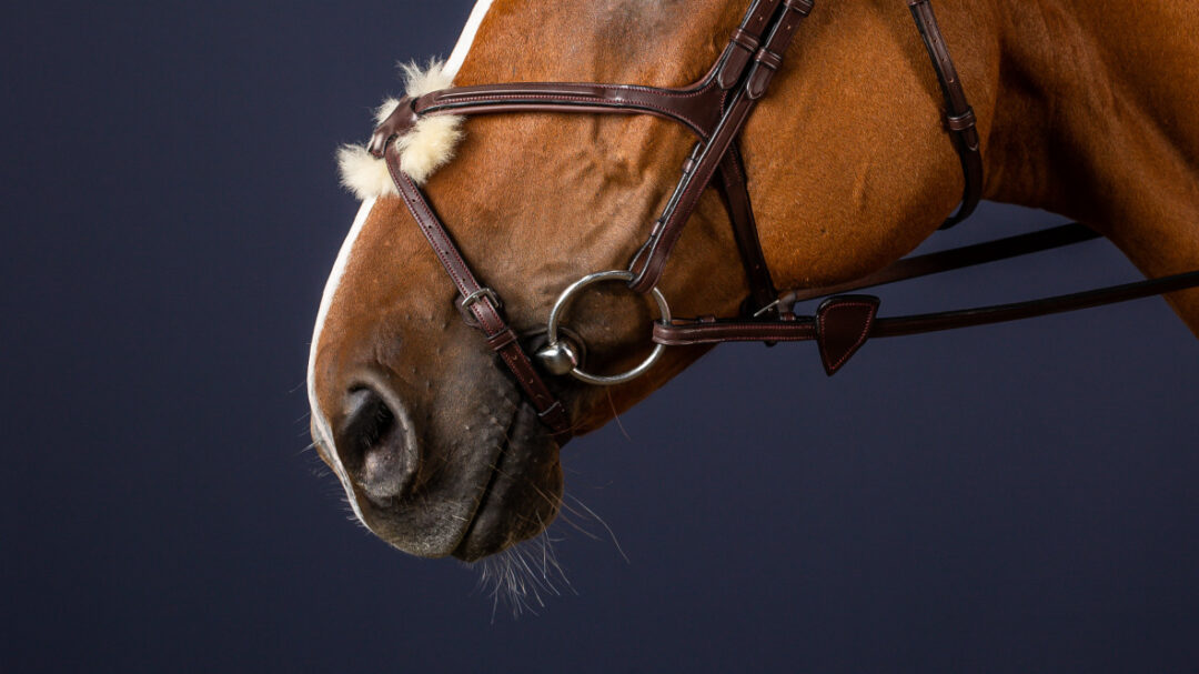 Dy'on New English Collection Figure 8 Noseband