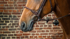 Dy'on D Collection Leather Covered Rope Noseband