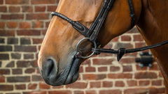 Dy'on D Collection Leather Covered Rope Noseband