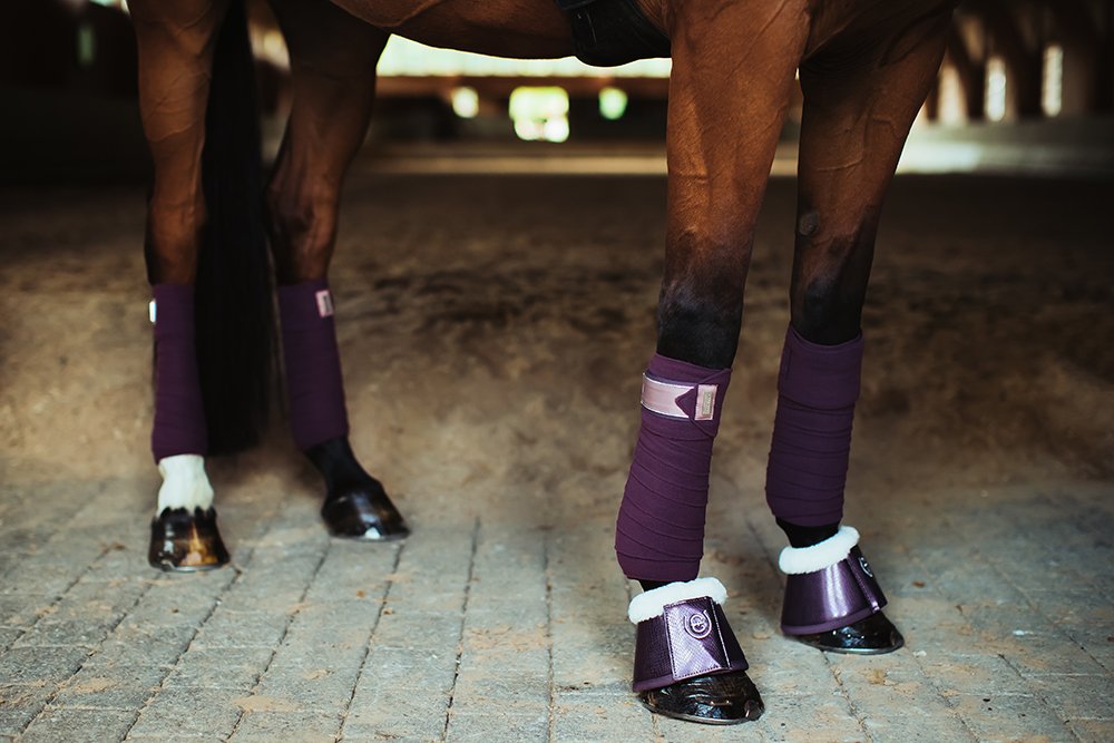 Orchid Bloom Bell Boots For Horses