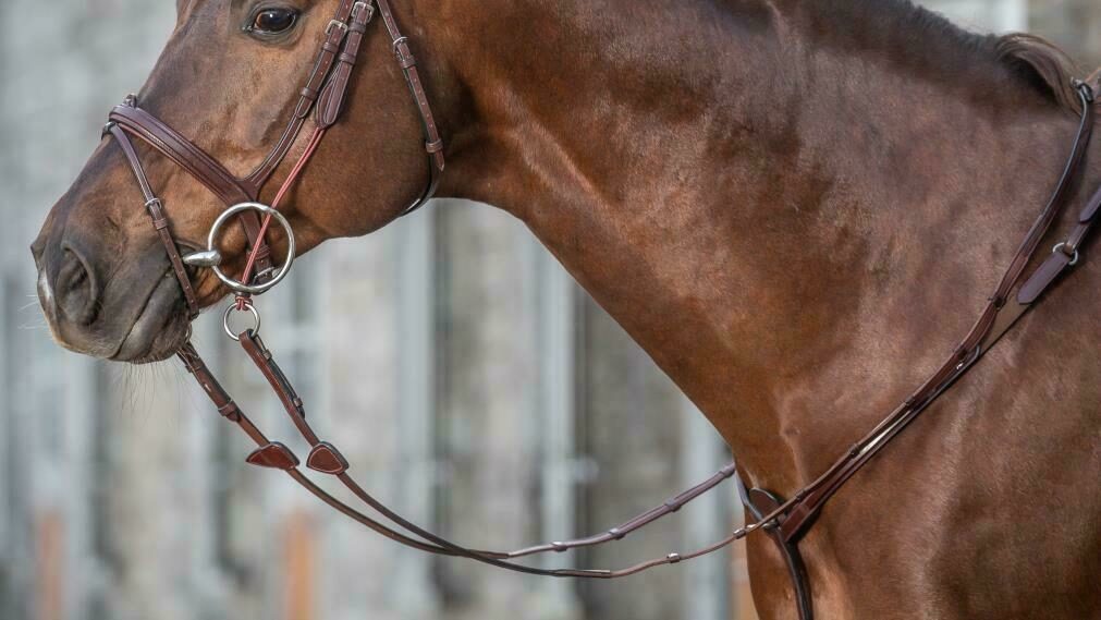 Dy'on New English Collection 5/8″ Hunter Reins with 7 Leather Loops