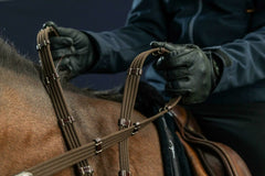 Dy'on D Collection 5/8 Web Reins With 9 Leather Loops
