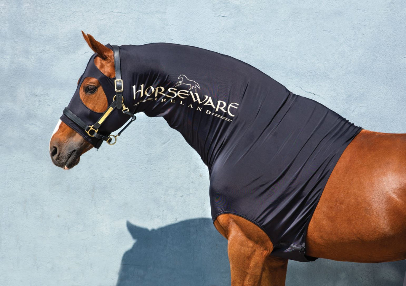 Horseware rambo waterproof trousers hot sale